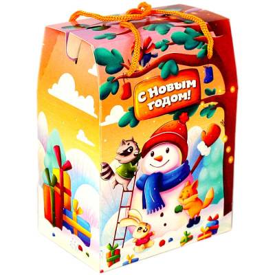 Детский новогодний подарок в картонной упаковке весом 750 грамм